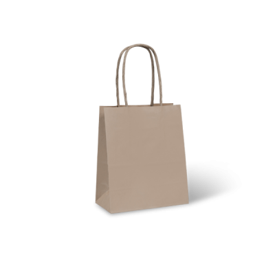 Carry Bag - Paper Twist Handle Sml  240x220x120mm 200/Ctn
