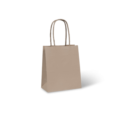 Carry Bag Paper Twist Handle Sml 210x265x110mm 25/PK 200/CTN